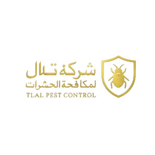 شركة مكافحة الصراصير في التجمع الخامس