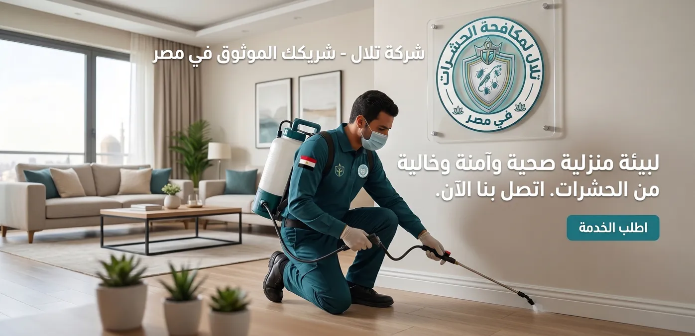 من نحن شركة تلال لمكافحة الحشرات في مصر
