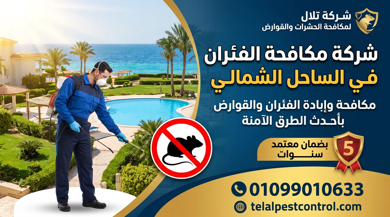 شركة مكافحة الفئران في الساحل الشمالي - شركة تلال لمكافحة الحشرات والقوارض