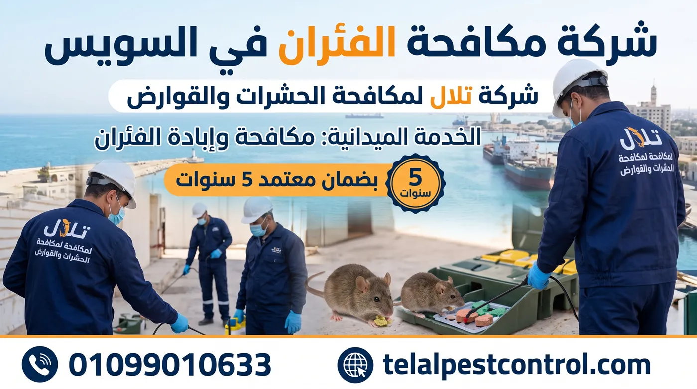 شركة مكافحة الفئران في السويس - تلال لمكافحة الحشرات والقوارض