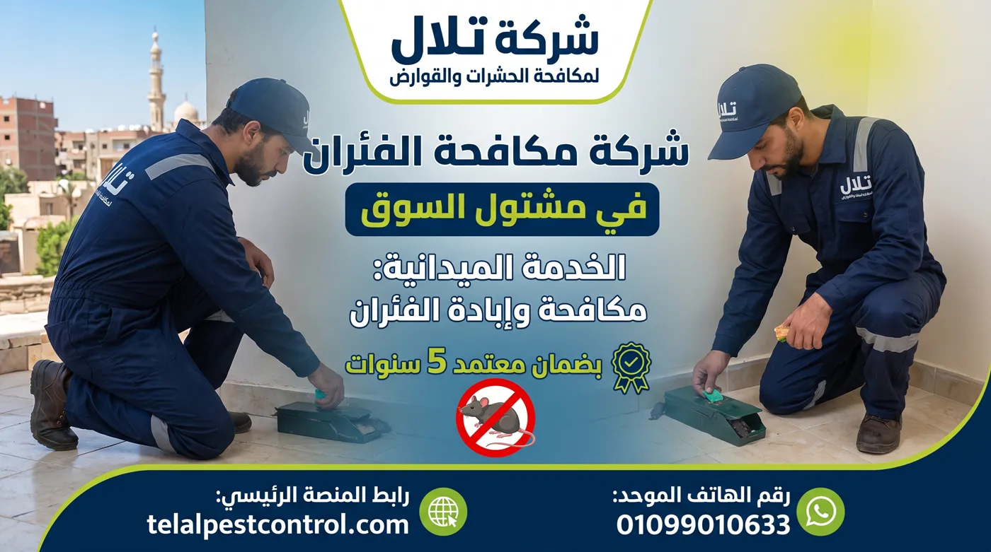 فني شركة تلال أثناء مكافحة الفئران في مشتول السوق بالكاميرا الحرارية
